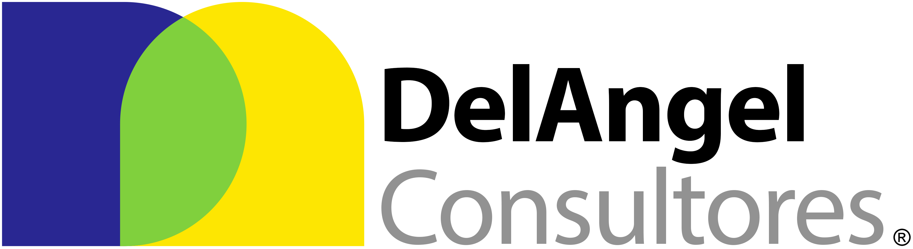 DelAngel Consultores